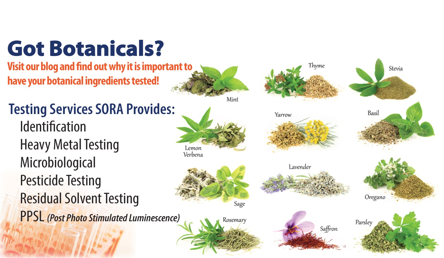 SORA-Botanical-2-2